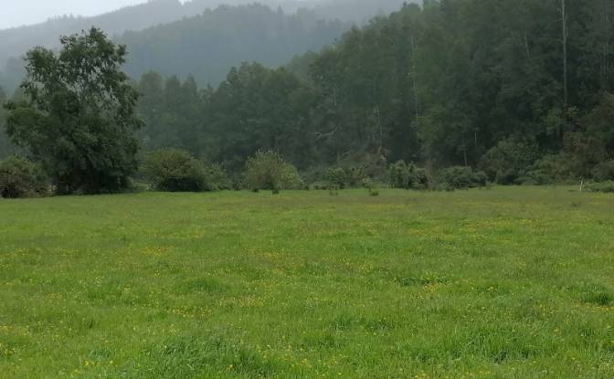 Investing/Development for Sale Via Sin Nombre. Photo#10
