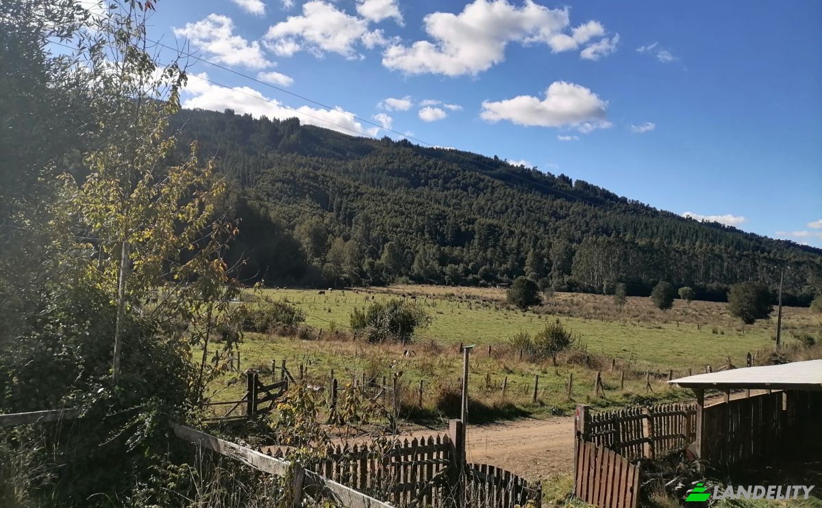 Investing/Development for Sale Via Sin Nombre, Mariquina, Aragon, Valdivia Province, Los Rios, Chile. Photo 12