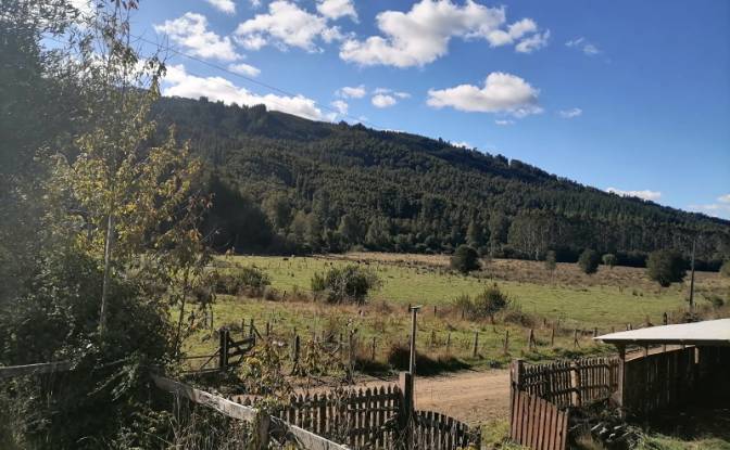 Investing/Development for Sale Via Sin Nombre. Photo#12