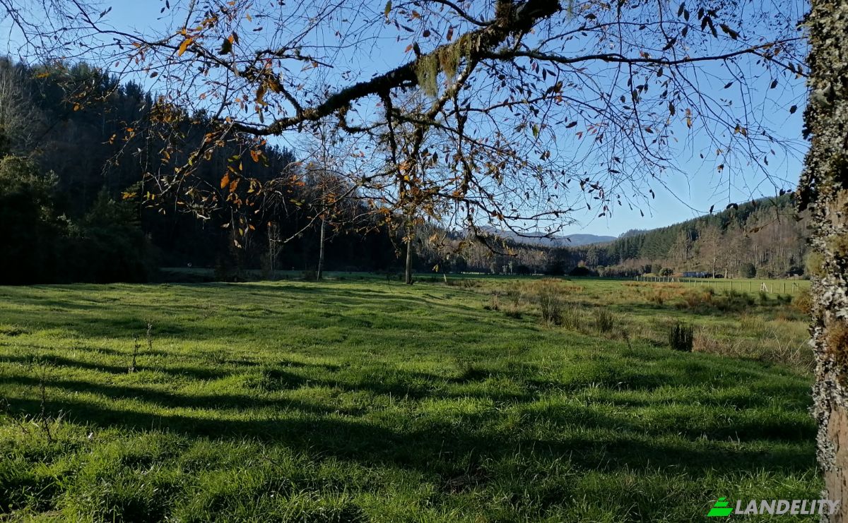 Investing/Development for Sale Via Sin Nombre, Mariquina, Aragon, Valdivia Province, Los Rios, Chile. Photo 4