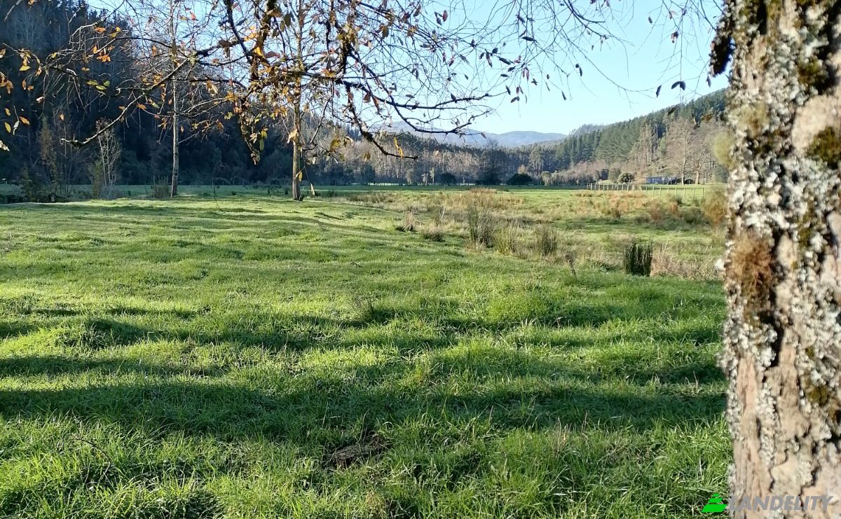 Investing/Development for Sale Via Sin Nombre, Mariquina, Aragon, Valdivia Province, Los Rios, Chile. Photo 6