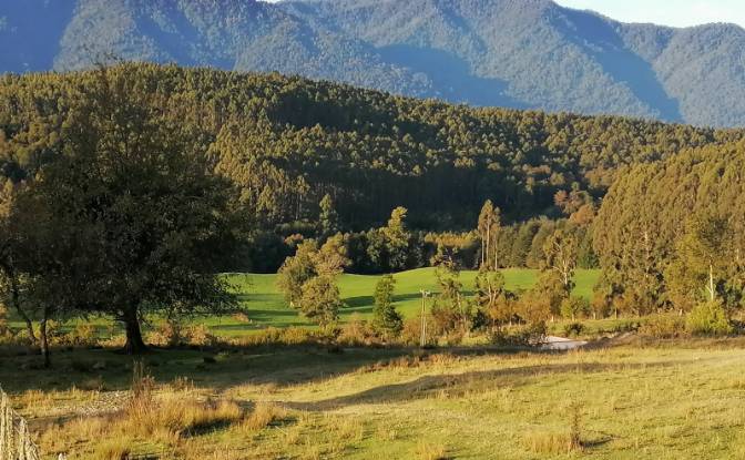 Investing/Development for Sale - Aragon, Chile