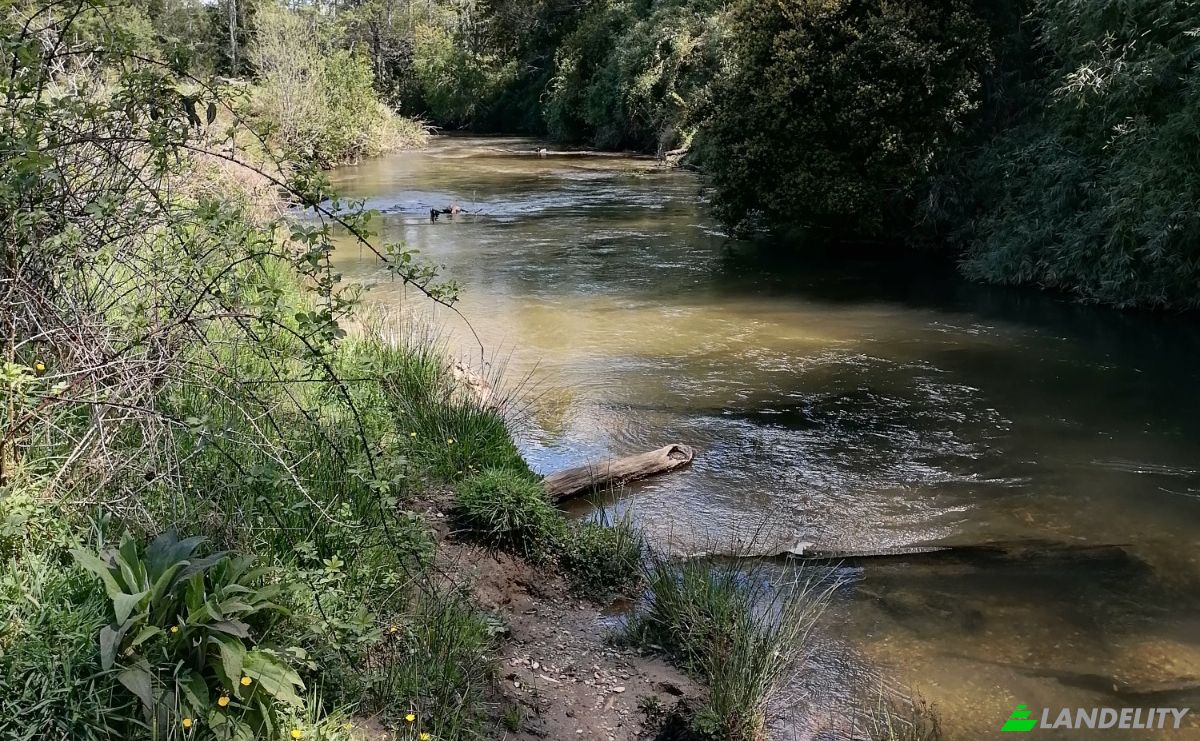 Investing/Development for Sale Via Sin Nombre, Mariquina, Aragon, Valdivia Province, Los Rios, Chile. Photo 8