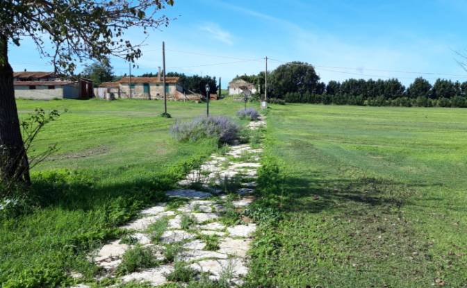 Land Lot for Sale Strada Provinciale delle Conce. Photo#5 Land Lot for Sale Strada Provinciale delle Conce. Photo#5