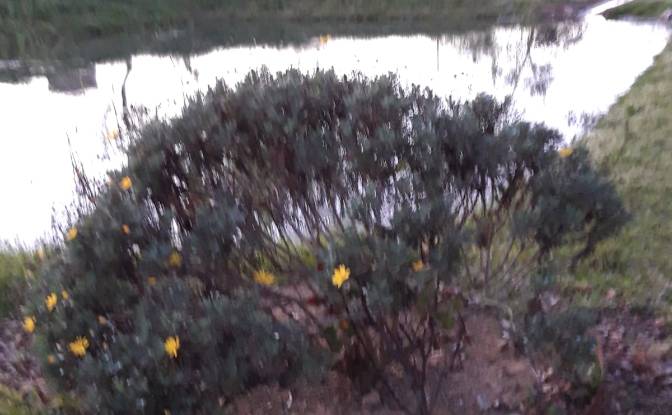 Land Lot for Sale Strada Provinciale delle Conce. Photo#6 Land Lot for Sale Strada Provinciale delle Conce. Photo#6