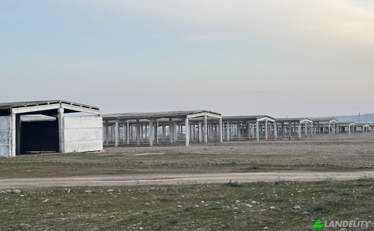 Negocio en venta Chilanzar, Surxondaryo Region, Uzbekistan. Foto 3