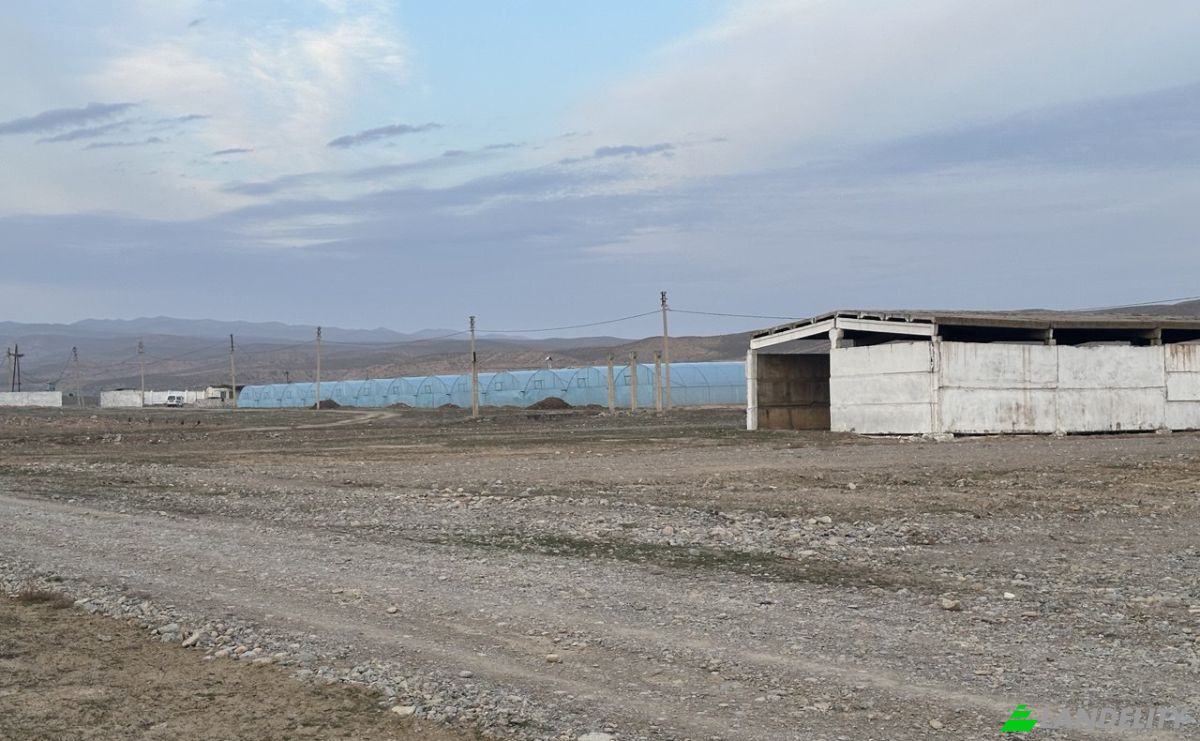Negocio en venta Chilanzar, Surxondaryo Region, Uzbekistan. Foto 6