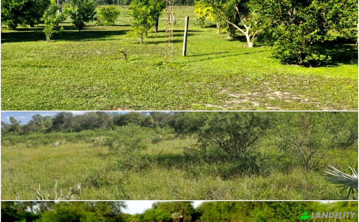 Investing/Development for Rent Zona Ceibo, 150305, Estancia Tanco, Puerto Pinasco, Presidente Hayes Department, Paraguay. Photo 1