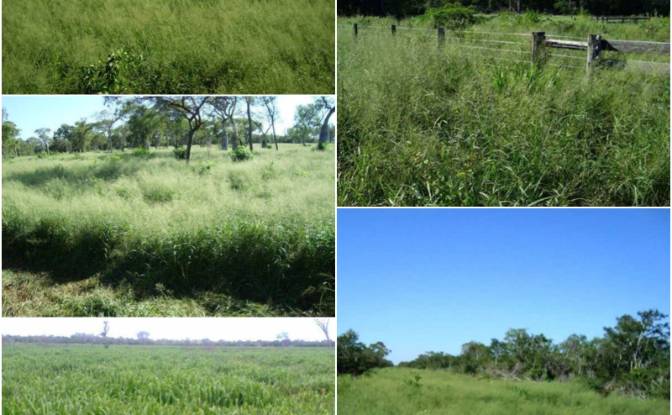 Investimento/Desenvolvimento à venda 170103 Zona. foto#3