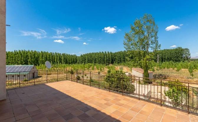 Farm/Ranch for Sale Diseminado Diseminados. Photo#4 Farm/Ranch for Sale Diseminado Diseminados. Photo#4