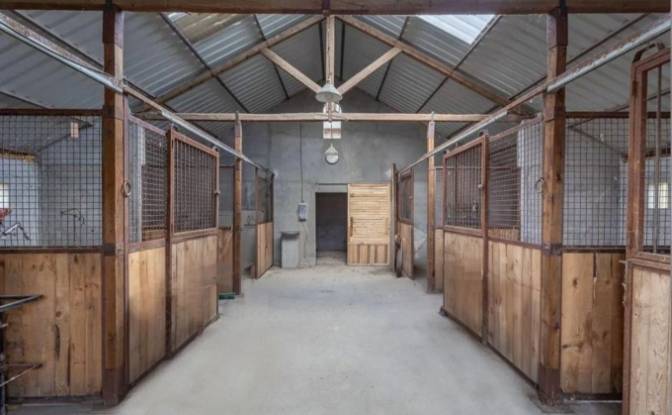 Farm/Ranch for Sale Diseminado Diseminados. Photo#5 Farm/Ranch for Sale Diseminado Diseminados. Photo#5