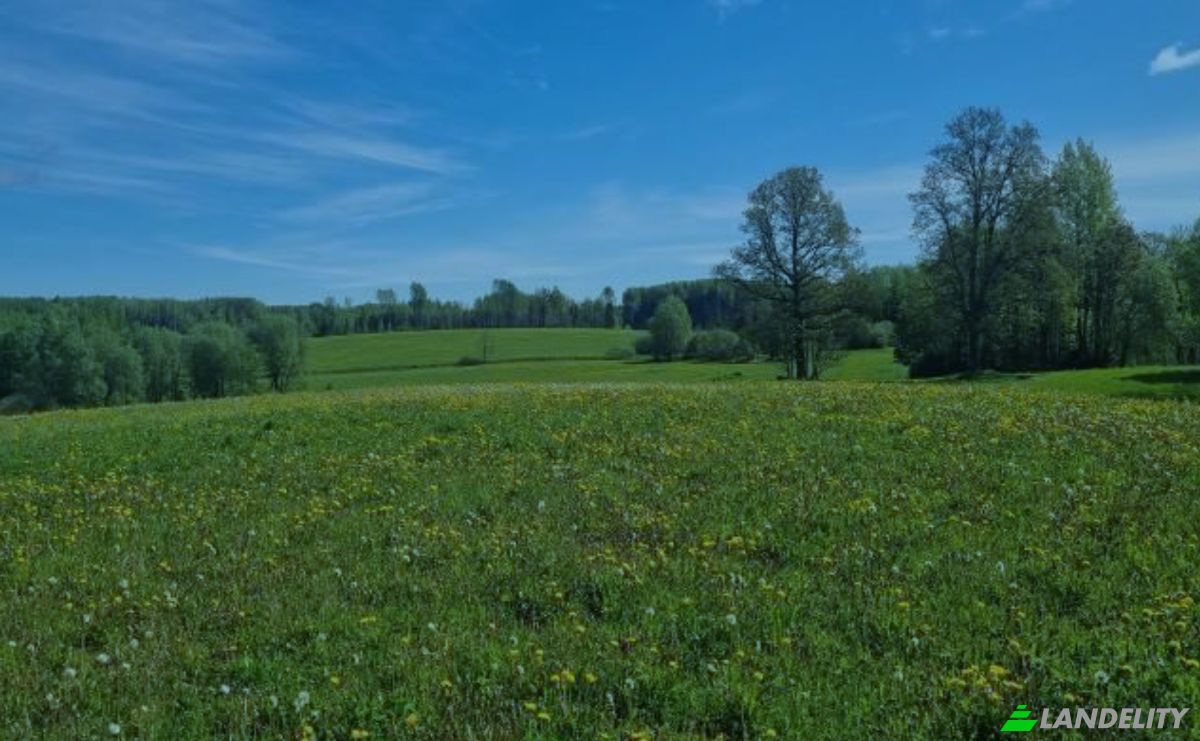 Land Lot for Sale Cels Bez Nosaukuma, Sausnejas pagasts, Madonas novads, LV-4855, Indrani, Vestiena Parish, Madona Municipality, Latvia. Photo 2