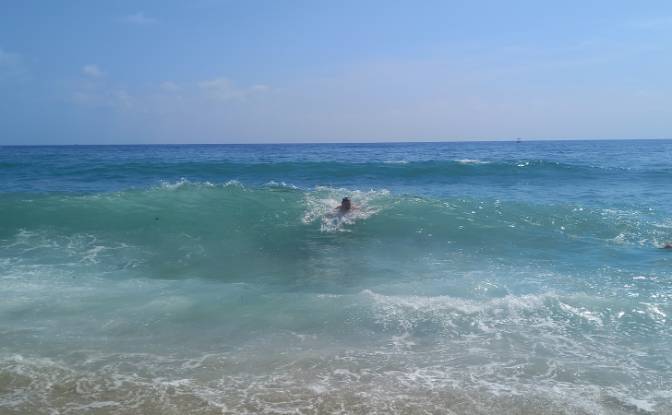 Land Lot for Sale Ebersohn St, Paradise Beach. Photo#1