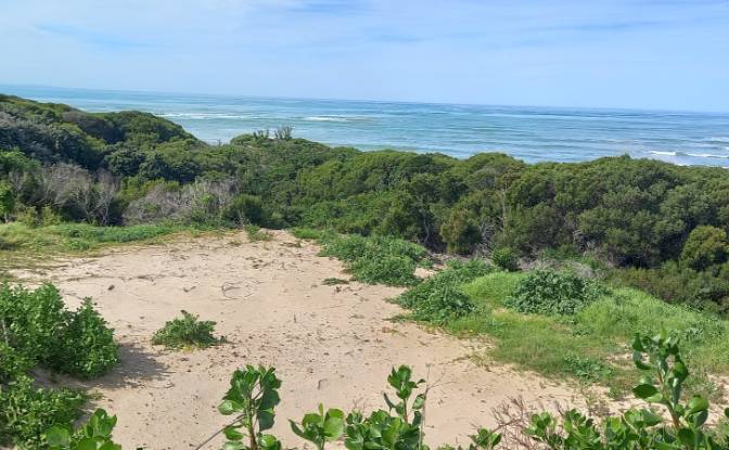 Land Lot for Sale Ebersohn St, Paradise Beach. Photo#5