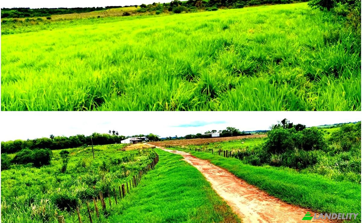 Inversión/Desarrollo en venta Vía Sin Nombre, 060210, Tuparenda, Abaí, Caazapá, Paraguay. Foto 4