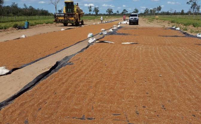 Investing/Development for Sale - Bahia Negra, Paraguay