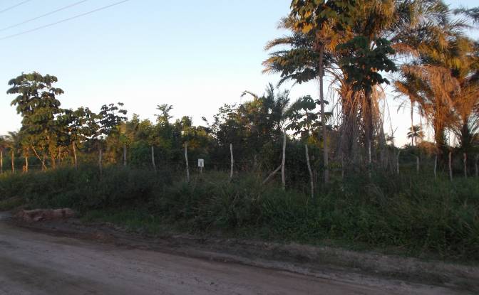 Land Lot for Sale - Salinas da Margarida - State of Bahia, Brazil