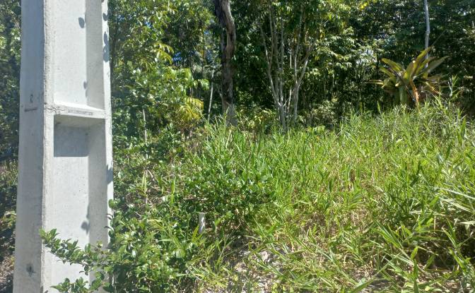 Land Lot for Sale - Salinas da Margarida - State of Bahia, Brazil