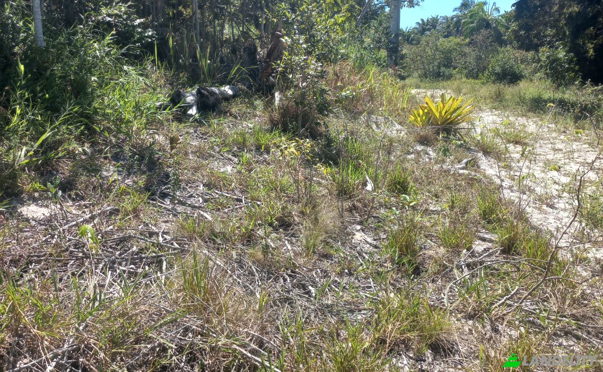 Grundstück zu verkaufen Salinas da Margarida - State of Bahia, Salinas da Margarida, State of Bahia, Brazil, 44450-000. Foto 5