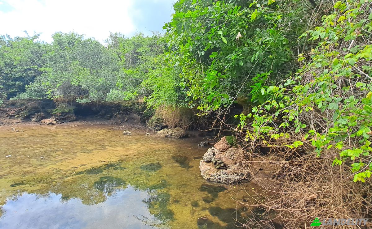 Investing/Development for Sale Fukuchani, Mpandeni, Kaskazini A, Unguja North Region, Tanzania. Photo 15