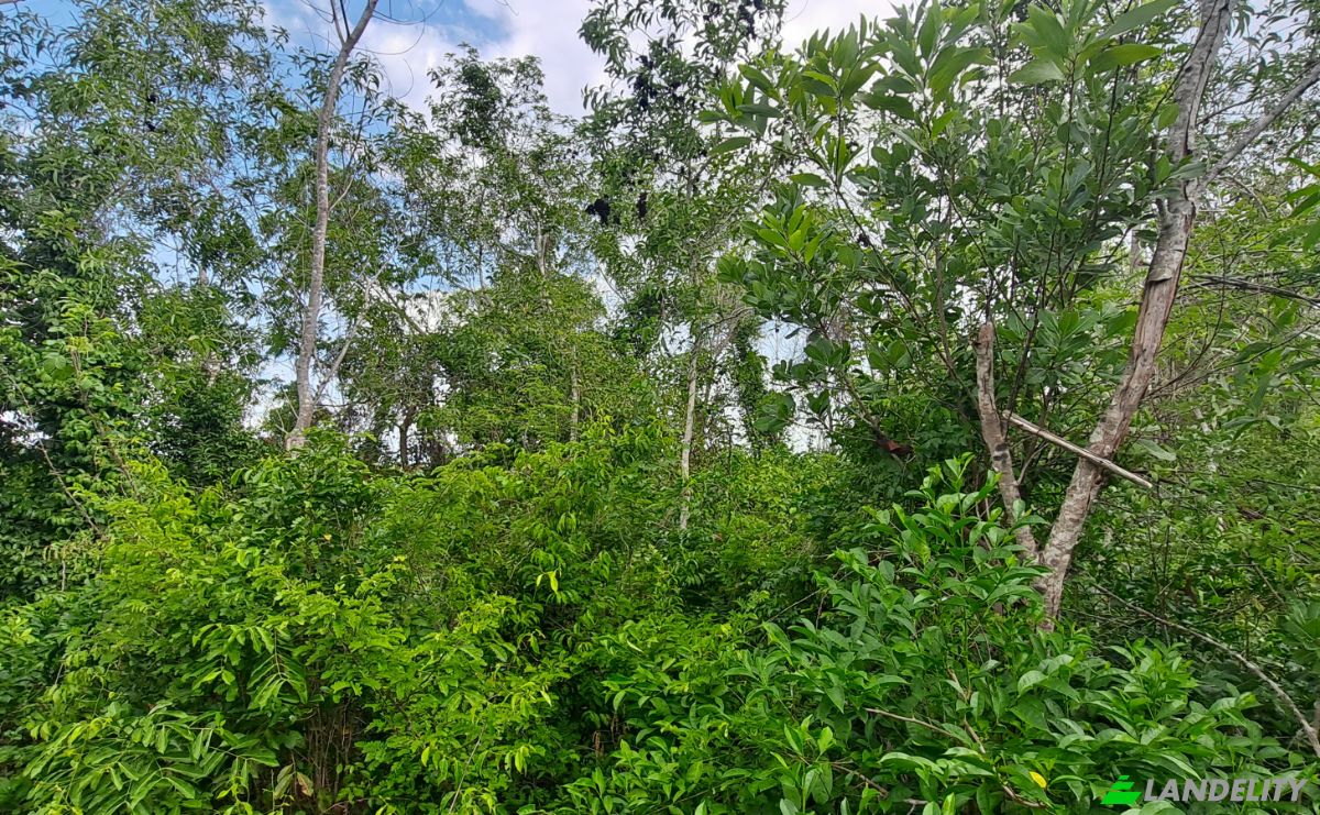 Investing/Development for Sale Fukuchani, Mpandeni, Kaskazini A, Unguja North Region, Tanzania. Photo 18