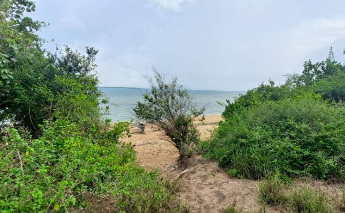 Investing/Development for Sale Nungwi Rd, Potowa. Photo#11 Investing/Development for Sale Nungwi Rd, Potowa. Photo#11