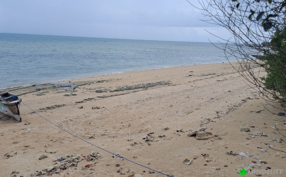 Investing/Development for Sale Nungwi Rd, Potowa, Kaskazini A, Unguja North Region, Tanzania. Photo 2