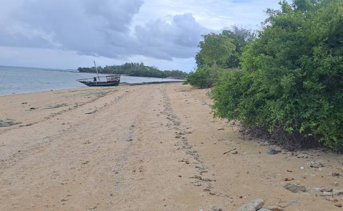 Investing/Development for Sale Nungwi Rd, Potowa. Photo#3 Investing/Development for Sale Nungwi Rd, Potowa. Photo#3