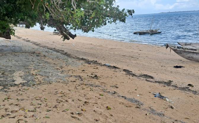 Investing/Development for Sale Nungwi Rd, Potowa. Photo#4 Investing/Development for Sale Nungwi Rd, Potowa. Photo#4