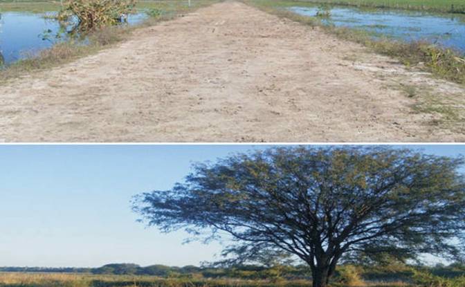 Investing/Development for Sale - Zona Rio Negro, Paraguay