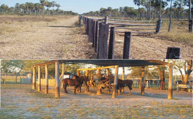 Investition/Entwicklung zu verkaufen Zona Monte. Foto#2