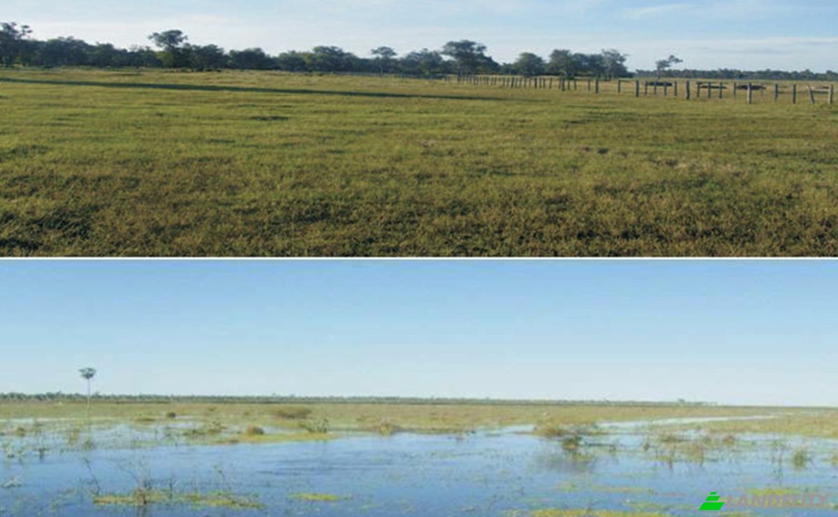 Investition/Entwicklung zu verkaufen Zona Monte Lindo, 150203 Villa Hayes, Zona Rio Negro, Benjamin Aceval, Presidente Hayes Department, Paraguay. Foto 3