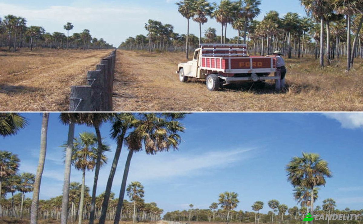 Investition/Entwicklung zu verkaufen Zona Monte Lindo, 150203 Villa Hayes, Zona Rio Negro, Benjamin Aceval, Presidente Hayes Department, Paraguay. Foto 4