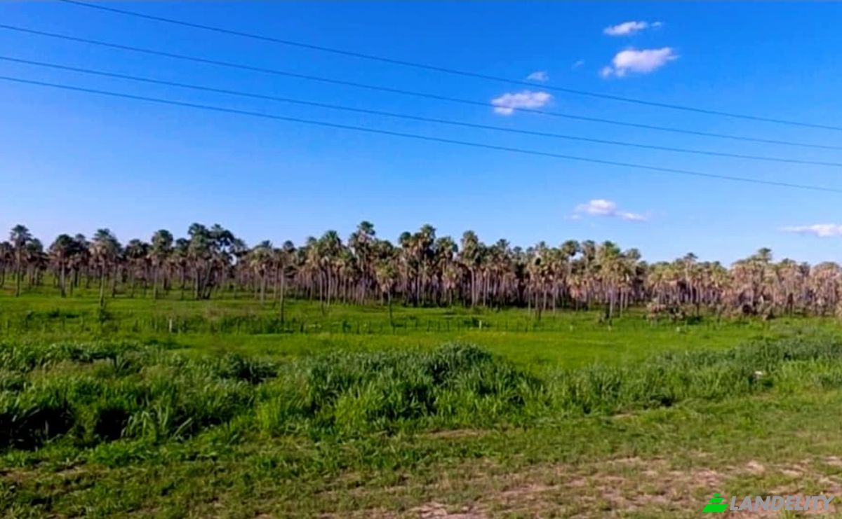 Investissement/Développement à vendre PY16, Zona 4 Vientos, Mariscal Jose Felix Estigarribia, Boqueron department, Paraguay. Photo 6