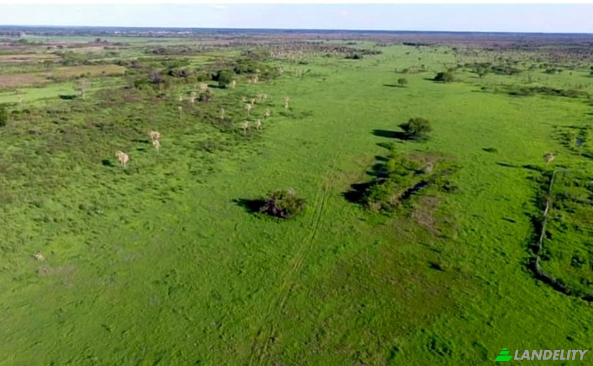 Investissement/Développement à vendre PY16, Zona 4 Vientos, Mariscal Jose Felix Estigarribia, Boqueron department, Paraguay. Photo 7