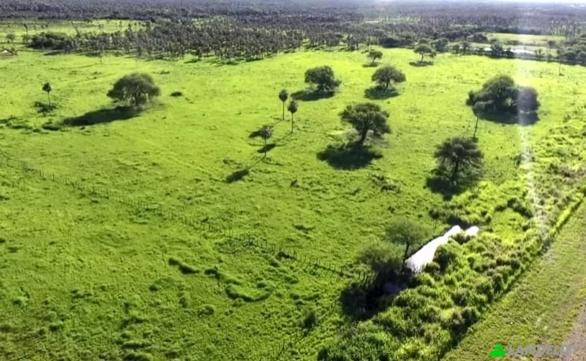 Investissement/Développement à vendre PY16, Zona 4 Vientos, Mariscal Jose Felix Estigarribia, Boqueron department, Paraguay. Photo 8