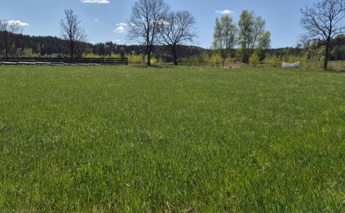 Land Lot for Sale Wolany 63C, 57-300, Wolany. Photo#3