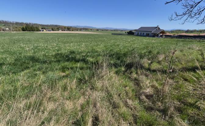 Land Lot for Sale Wolany 63C, 57-300, Wolany. Photo#5