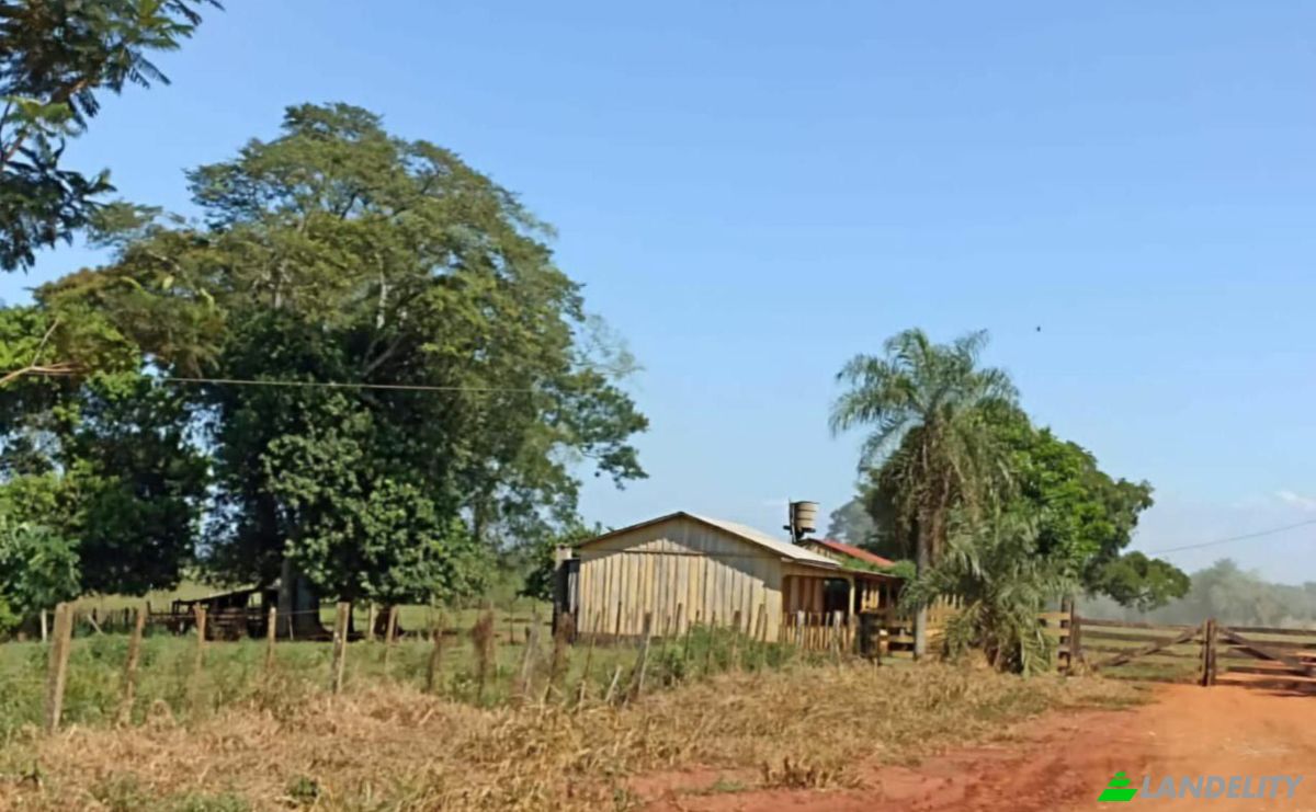 Investing/Development for Sale Via Sin Nombre, 051111, Potrero Alvarez, Yhu, Caaguazu Department, Paraguay. Photo 5