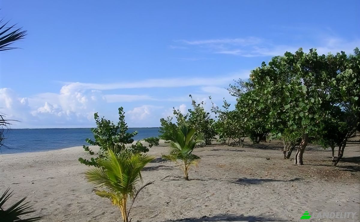 Land Lot for Sale Via Sin Nombre, Colon, Trujillo, Colon Department, Honduras. Photo 1