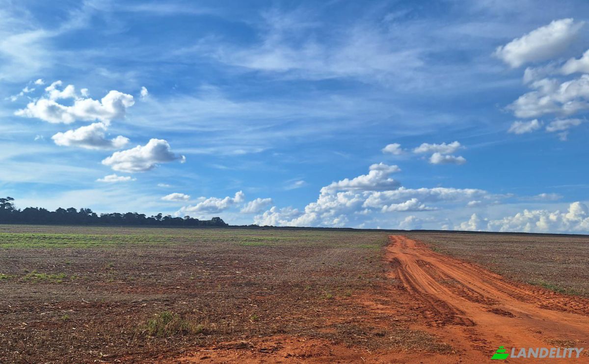 Inversión/Desarrollo en venta Vía Sin Nombre, 071203, Isla Alta, General Artigas, Itapúa, Paraguay. Foto 2