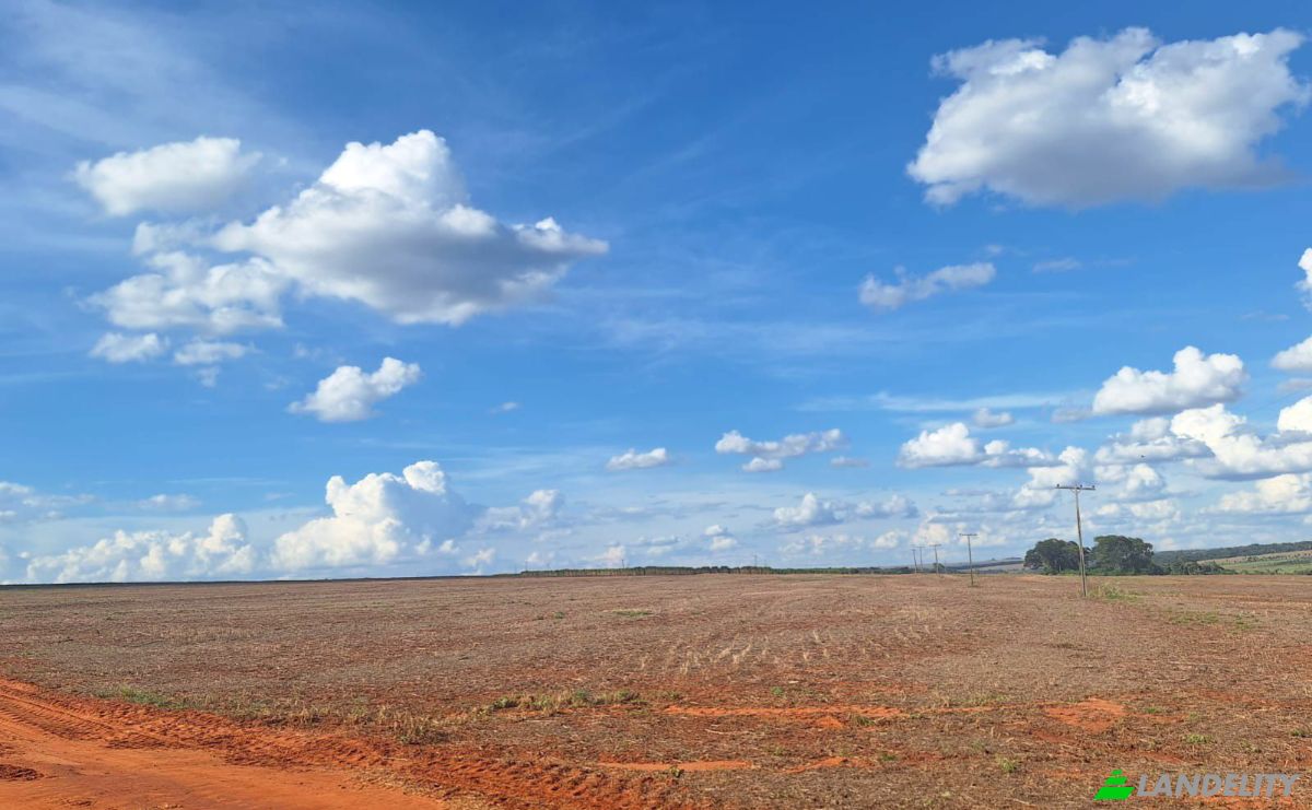Inversión/Desarrollo en venta Vía Sin Nombre, 071203, Isla Alta, General Artigas, Itapúa, Paraguay. Foto 3