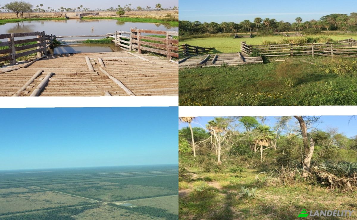 Investition/Entwicklung zu verkaufen Via Sin Nombre, 150902, Estancia la Nena, General Jose Maria Bruguez, Presidente Hayes Department, Paraguay. Foto 2