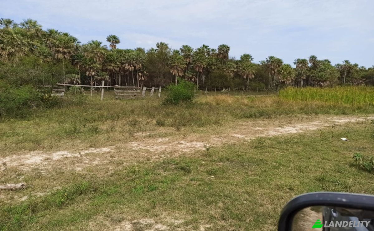Inversión/Desarrollo en venta Estancia Lomas, 021308, Estancia Uruguaitá, Villa del Rosario, San Pedro, Paraguay. Foto 4