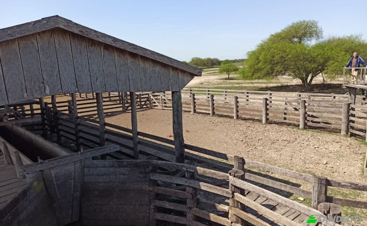 Inversión/Desarrollo en venta Estancia Lomas, 021308, Estancia Uruguaitá, Villa del Rosario, San Pedro, Paraguay. Foto 6