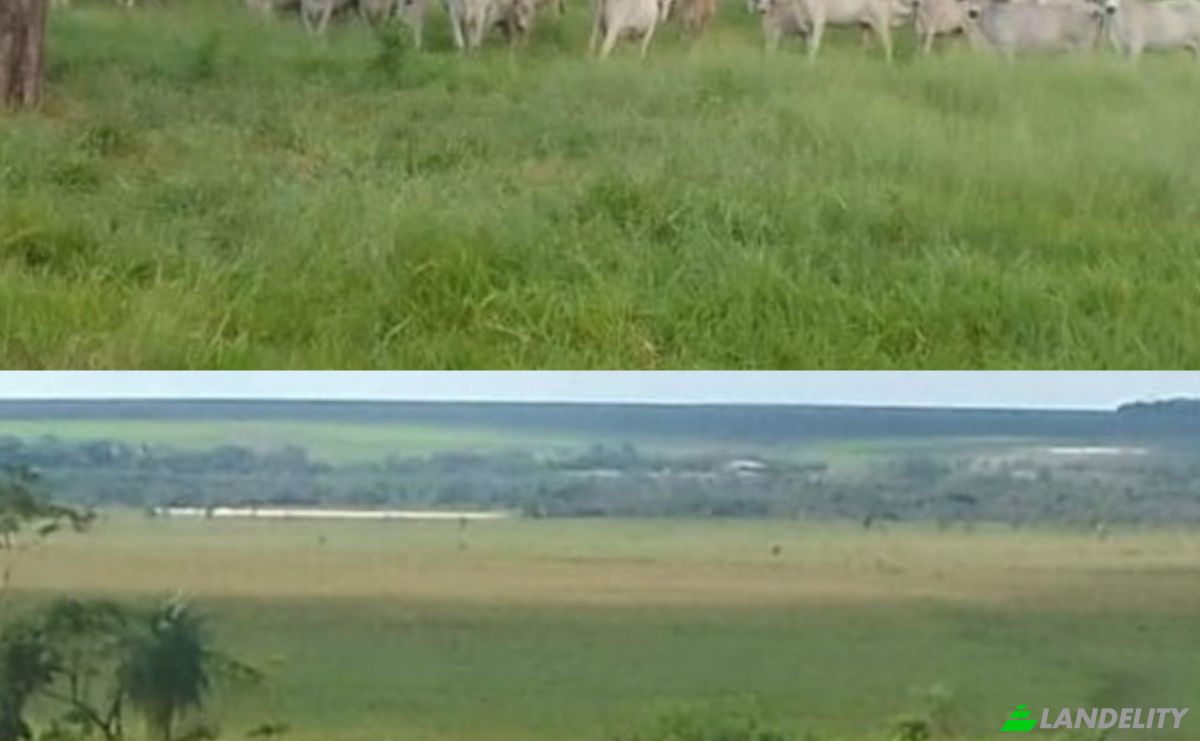 Investing/Development for Sale 021102 Santo Domingo, Santo Domingo, Union, San Pedro Department, Paraguay. Photo 1