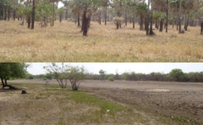 Investing/Development for Sale Zona Agua Dulce. Photo#2 Investing/Development for Sale Zona Agua Dulce. Photo#2