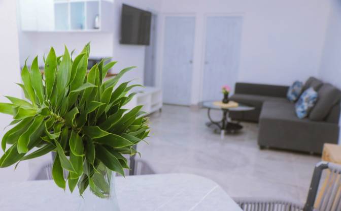 Apartment for Sale Calle Principal 537. Photo#19