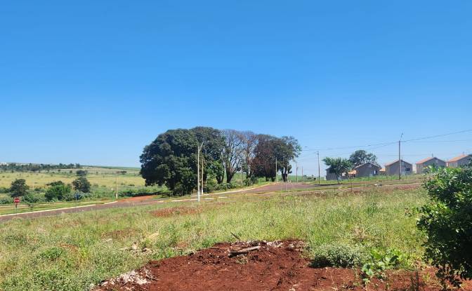 Inversión/Desarrollo en venta R Luiz Marques. Foto#2