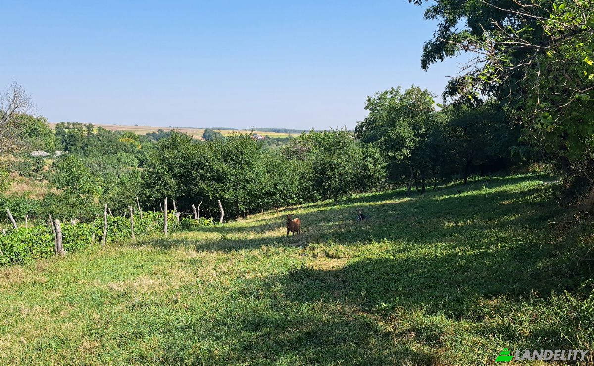 Lote de terreno en venta Str Eroilor 11, Hlapesti, Dragomiresti, Neamt County, Romania. Foto 1